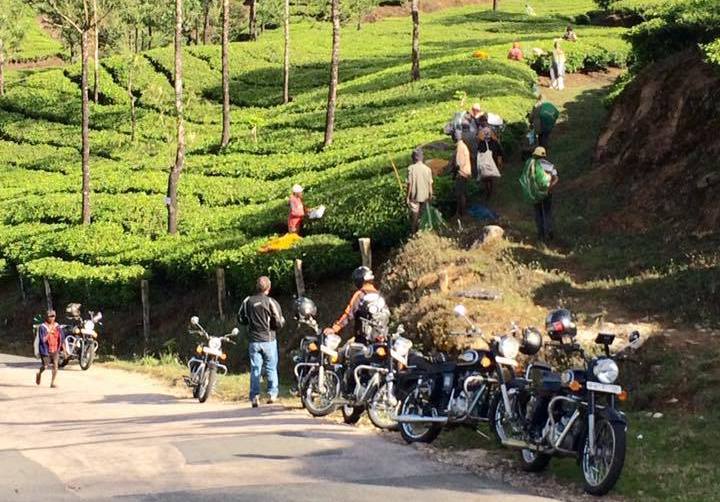 Viaggiare in India in moto | Kerala