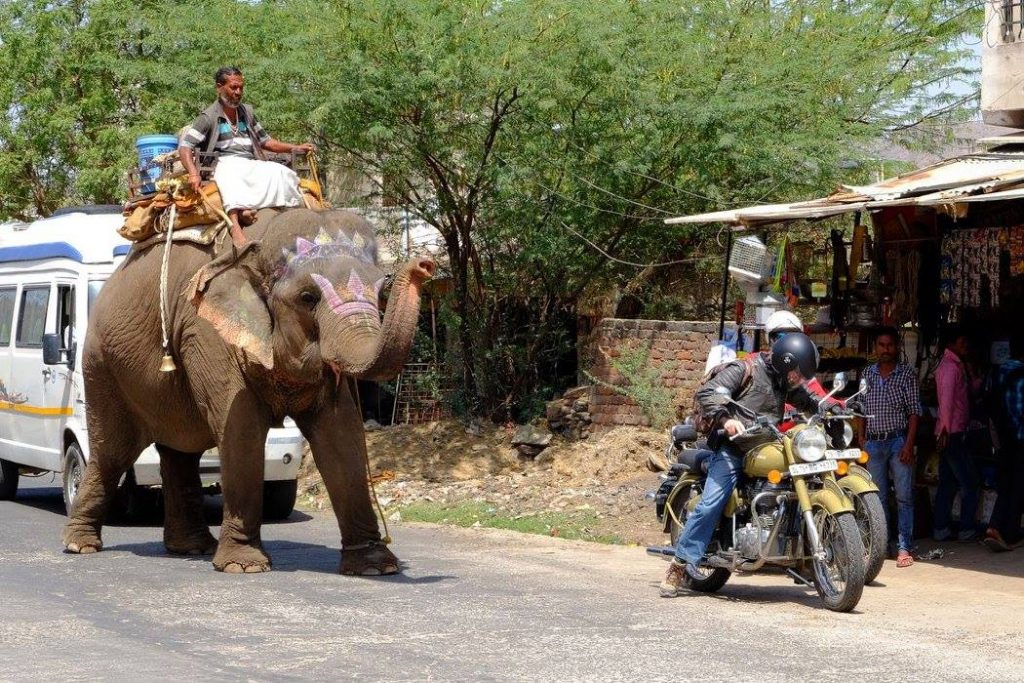Viaggiare in India in moto | Traffico in Rajasthan